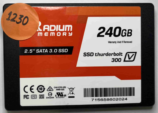 RADIUM MEMORY 715658602024 (1230) SSD for Sale