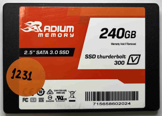 RADIUM MEMORY 715658602024 (1231) SSD for Sale