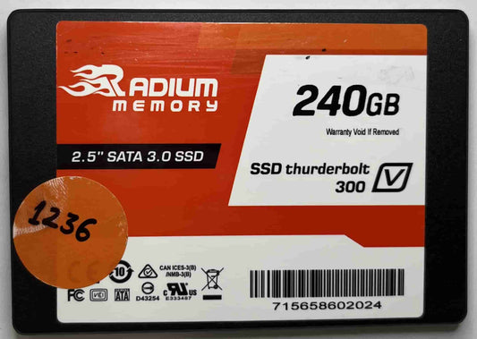 RADIUM MEMORY 715658602024 (1236) SSD for Sale