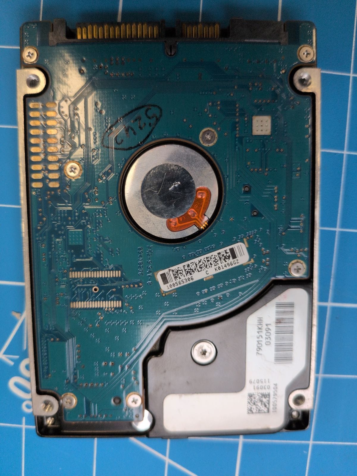 SG11 drive label (back)