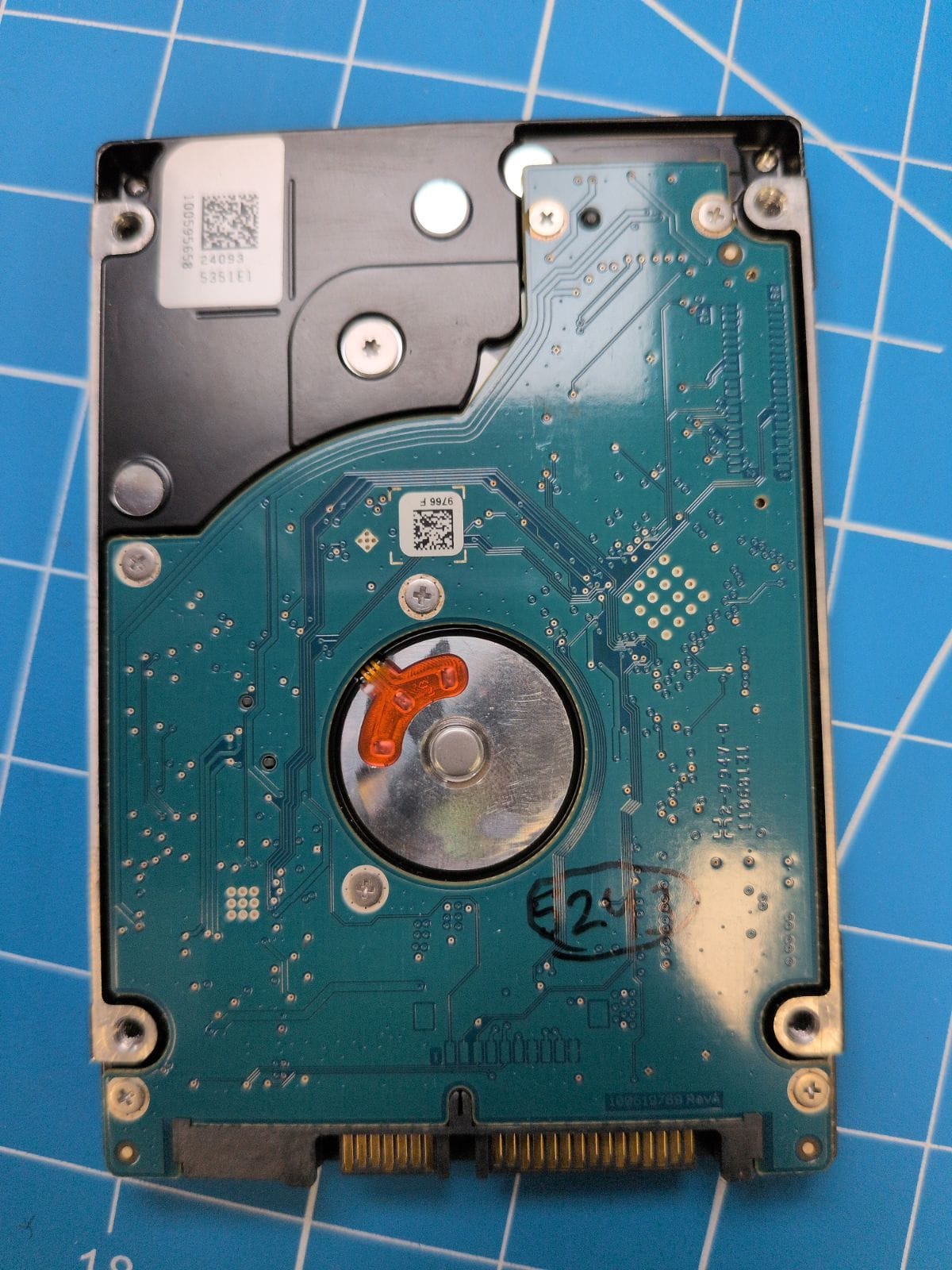 SG12 drive label (back)