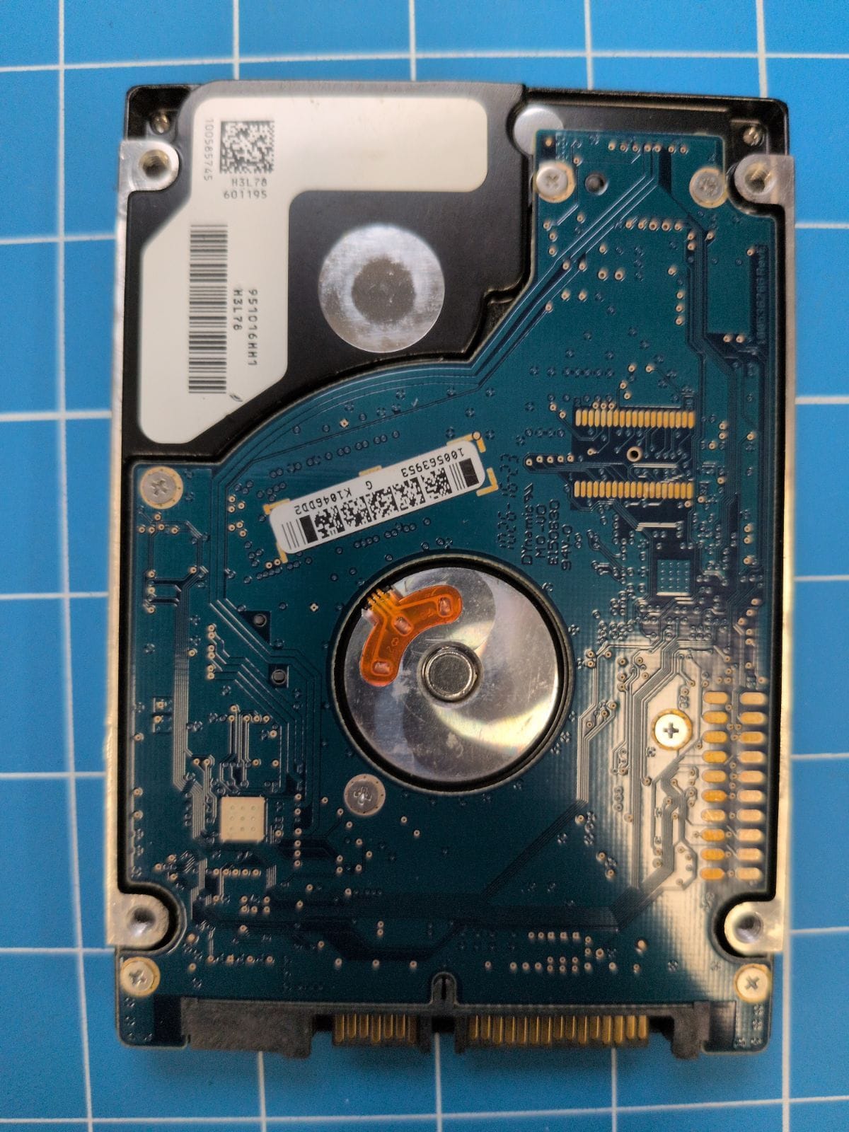 SG123 drive label (back)
