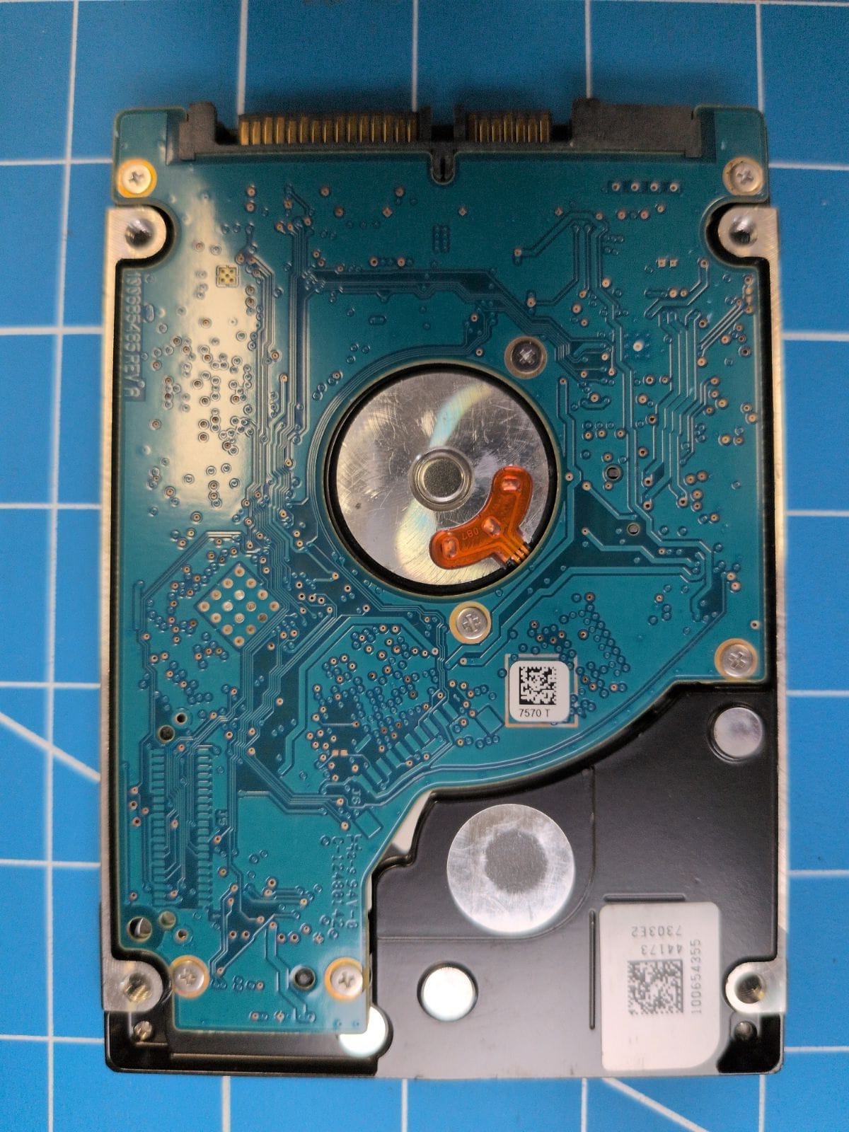 SG126 drive label (back)