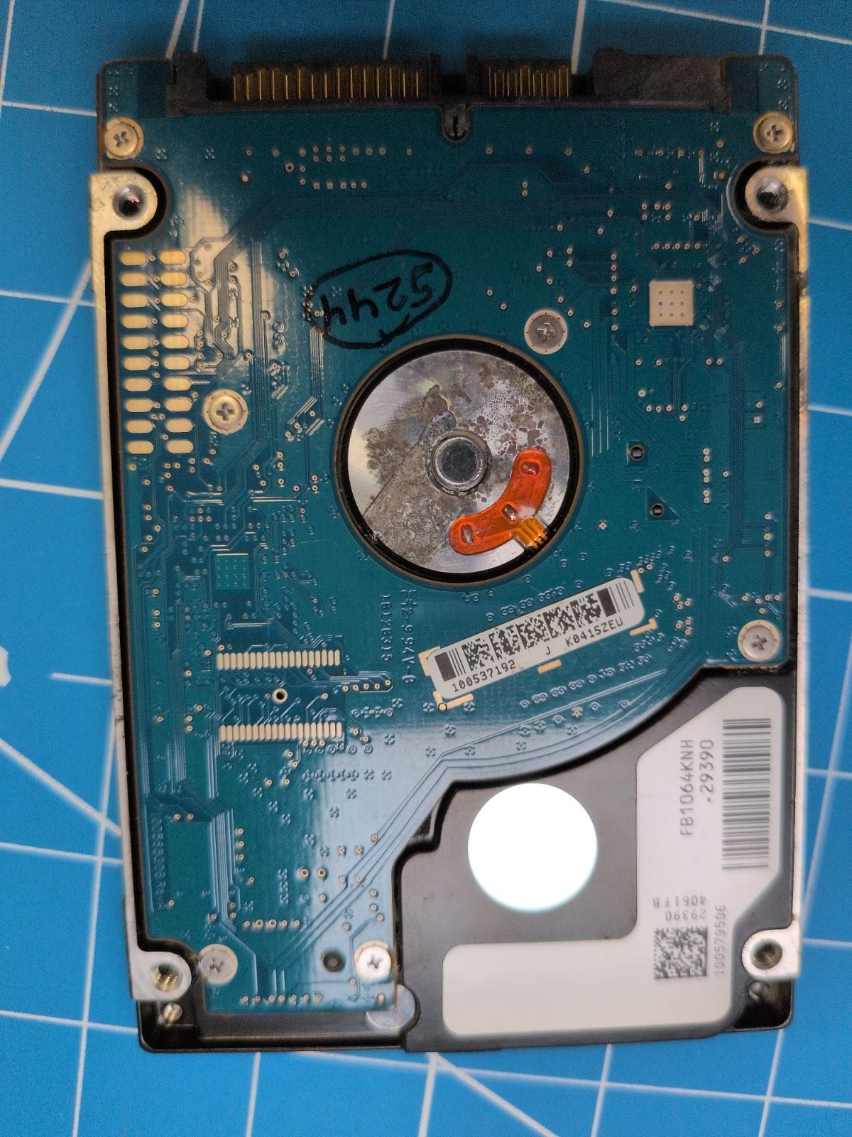 SG13 drive label (back)