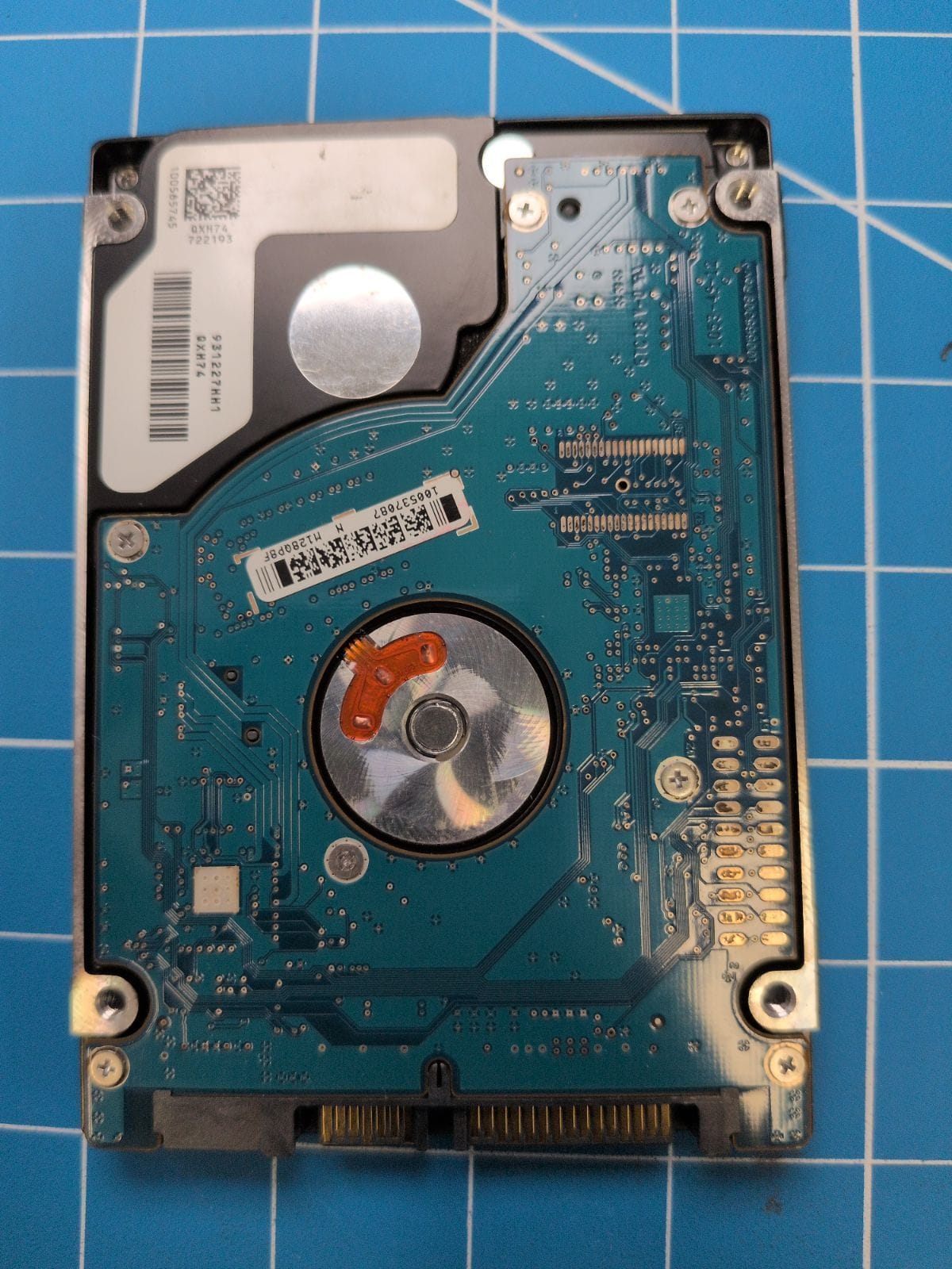 SG139 drive label (back)
