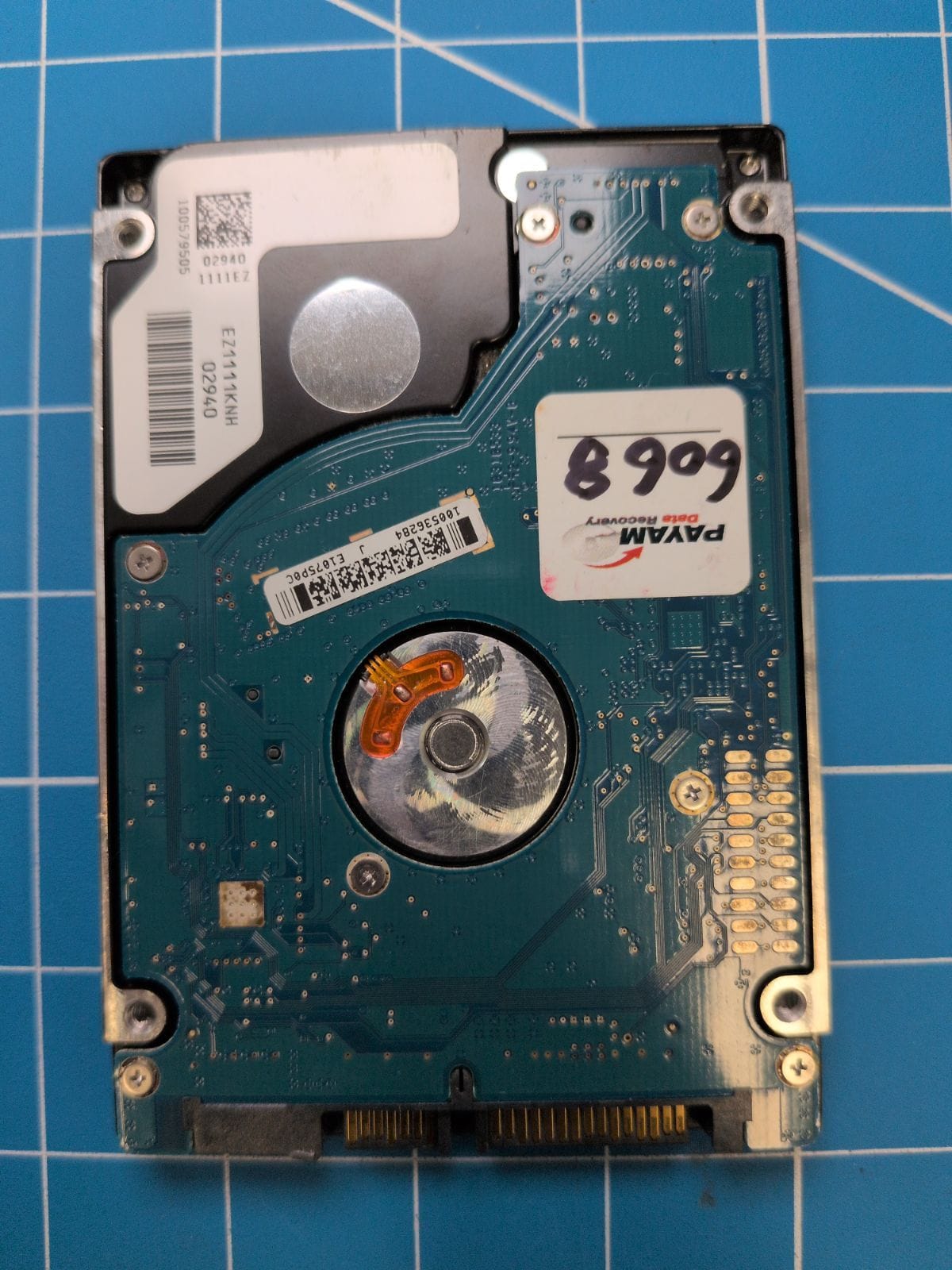 SG145 drive label (back)