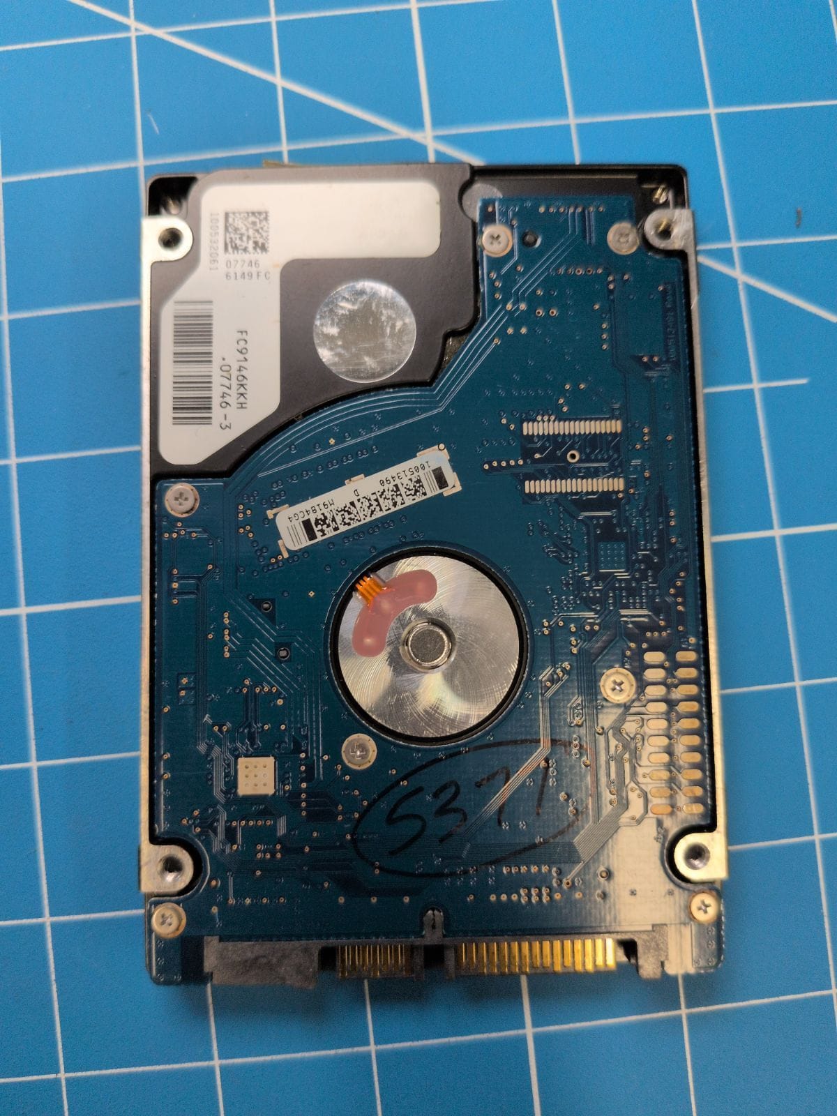 SG146 drive label (back)