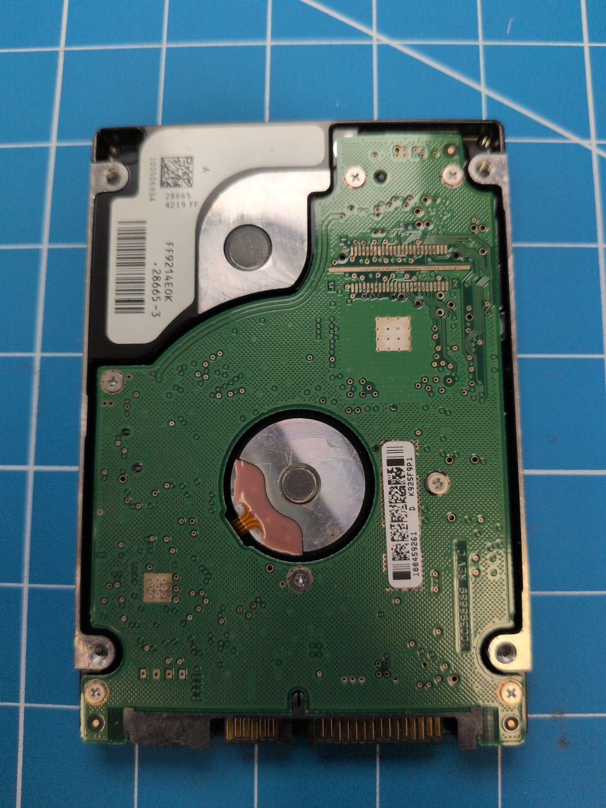 SG161 drive label (back)