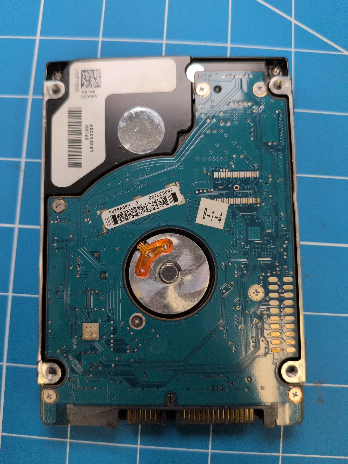 SG162 drive label (back)