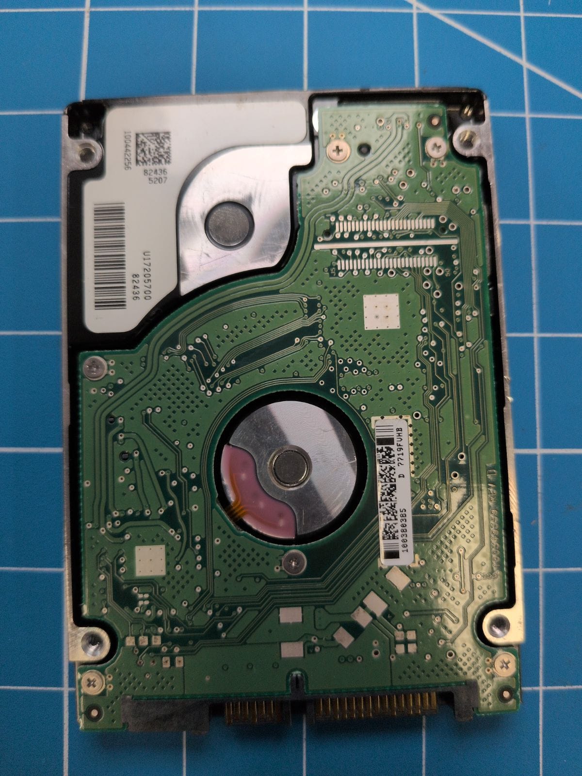 SG165 drive label (back)