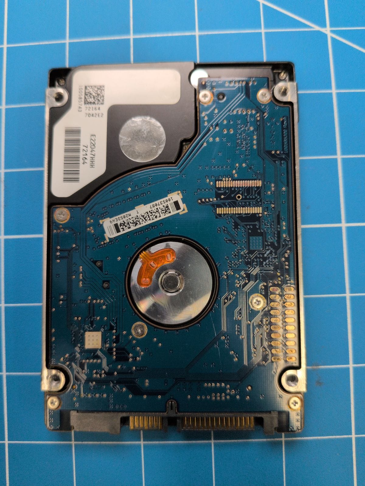 SG166 drive label (back)