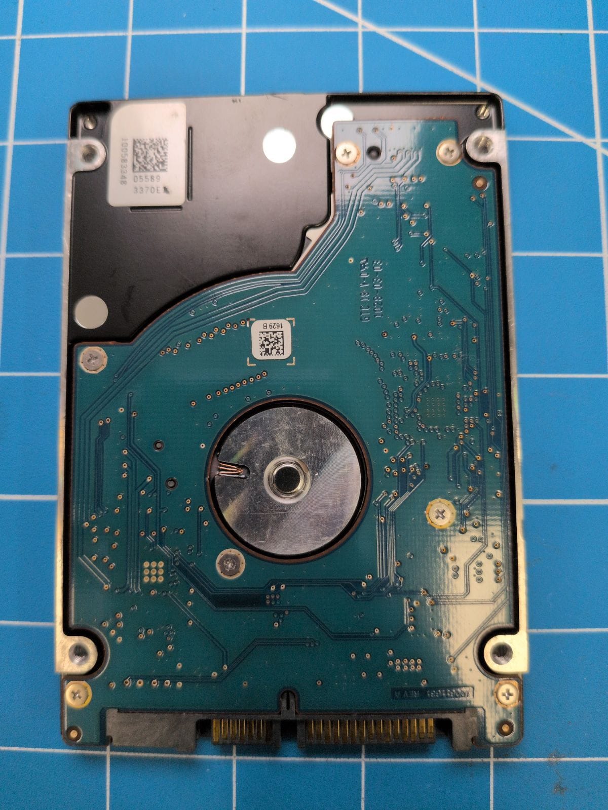 SG167 drive label (back)