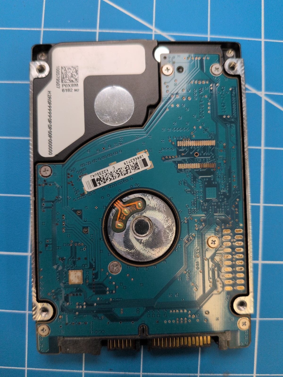 SG170 drive label (back)