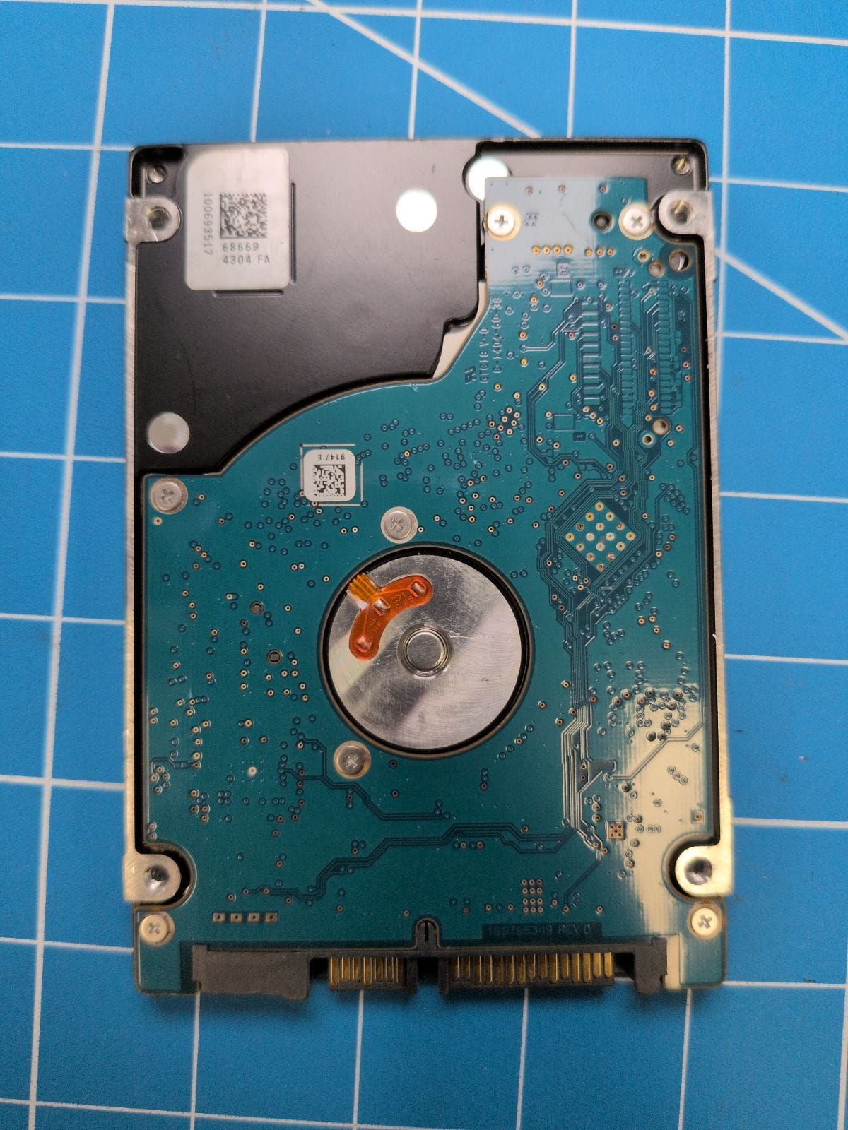 SG171 drive label (back)
