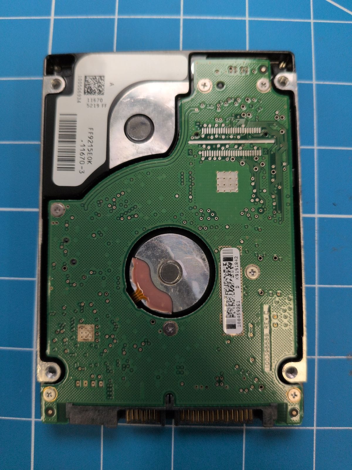 SG172 drive label (back)