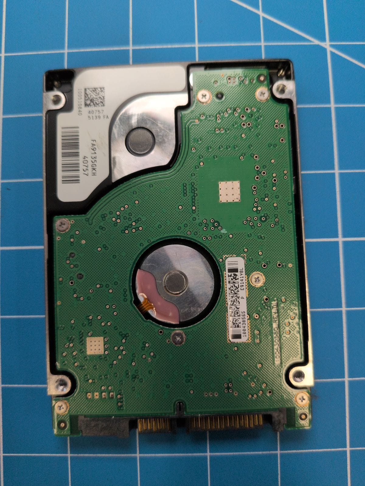 SG174 drive label (back)
