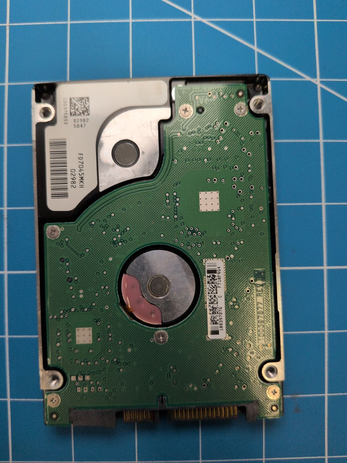 SG179 drive label (back)