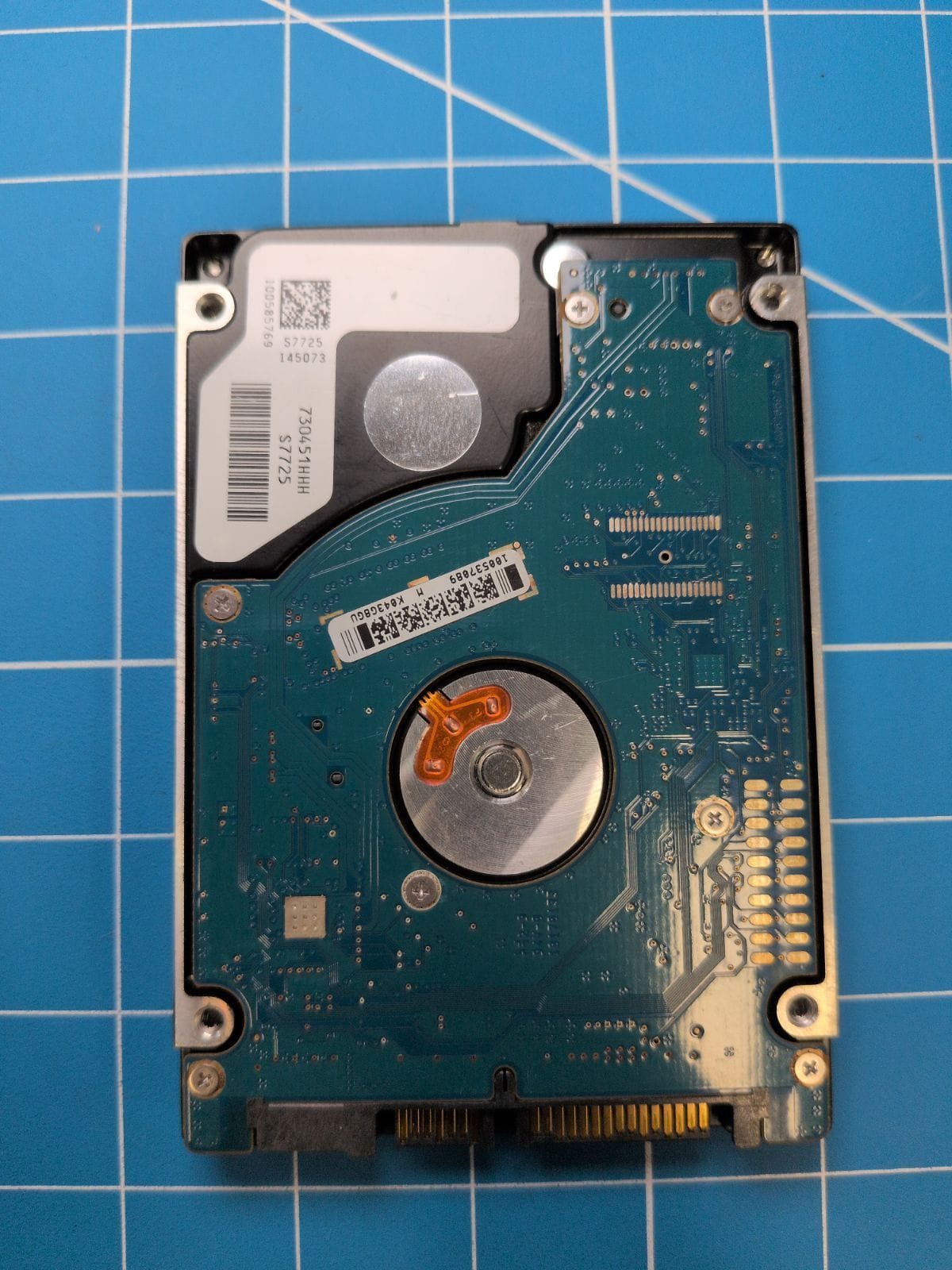 SG181 drive label (back)