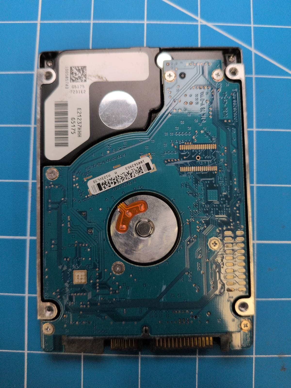 SG182 drive label (back)