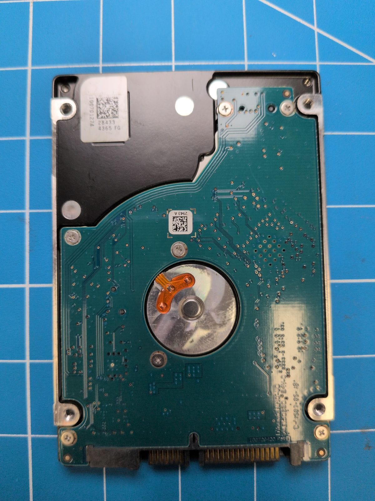 SG183 drive label (back)