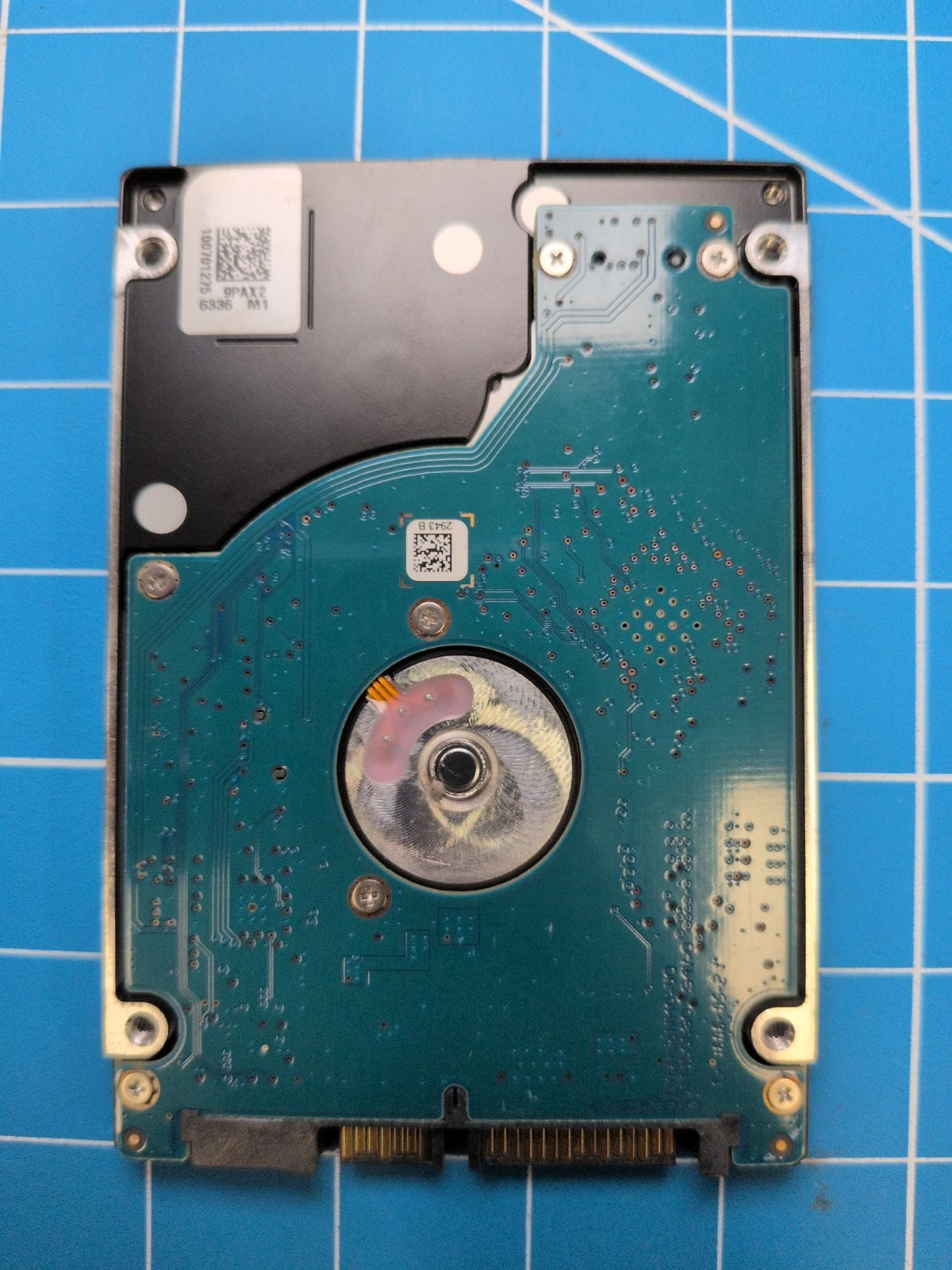 SG184 drive label (back)