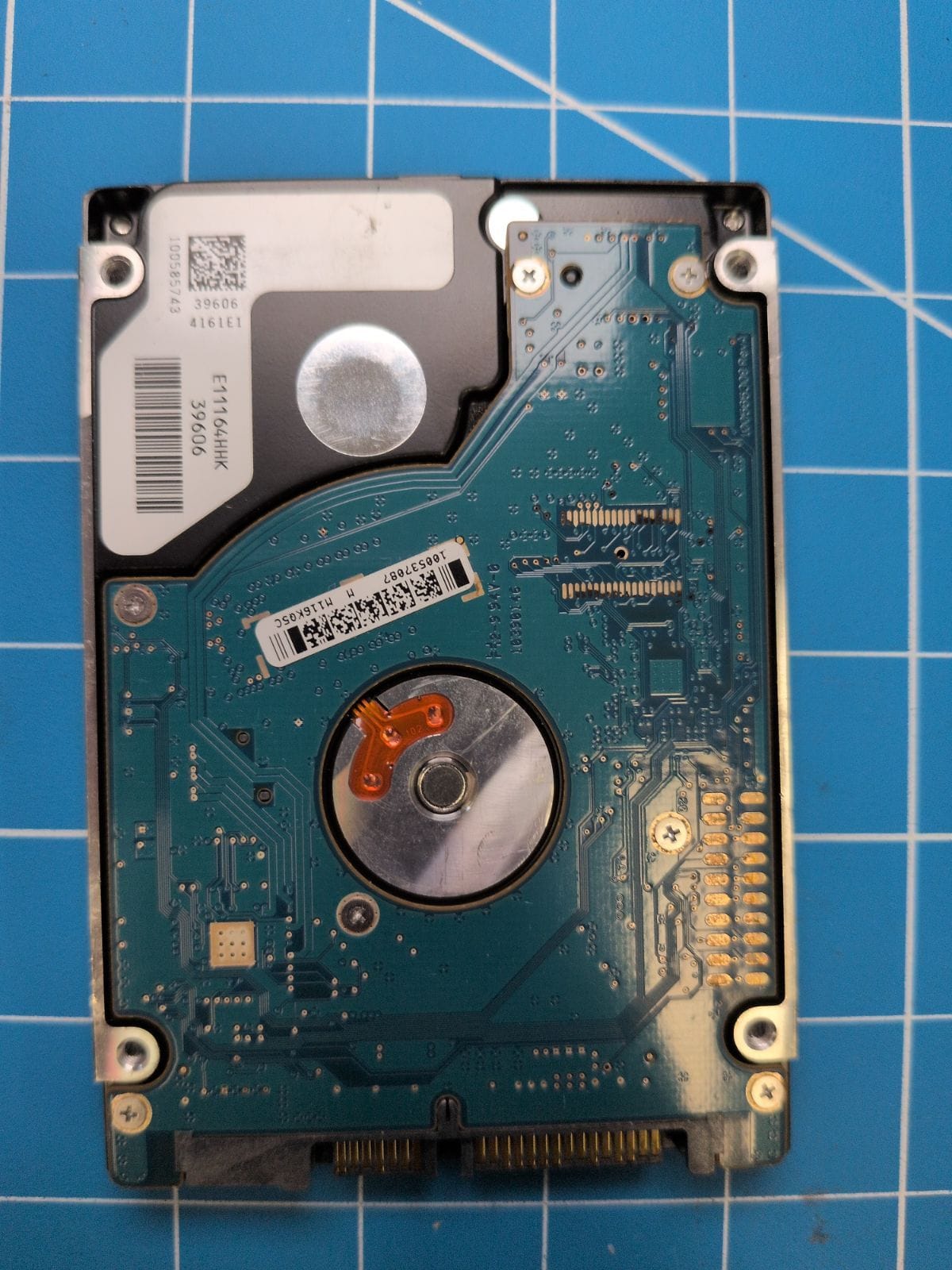SG186 drive label (back)