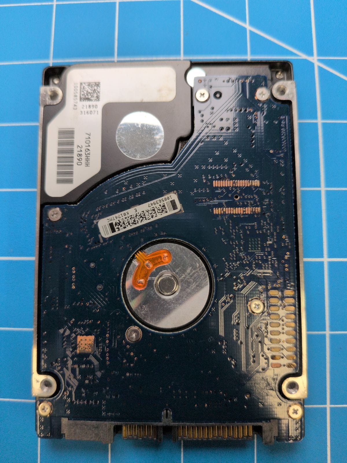 SG187 drive label (back)