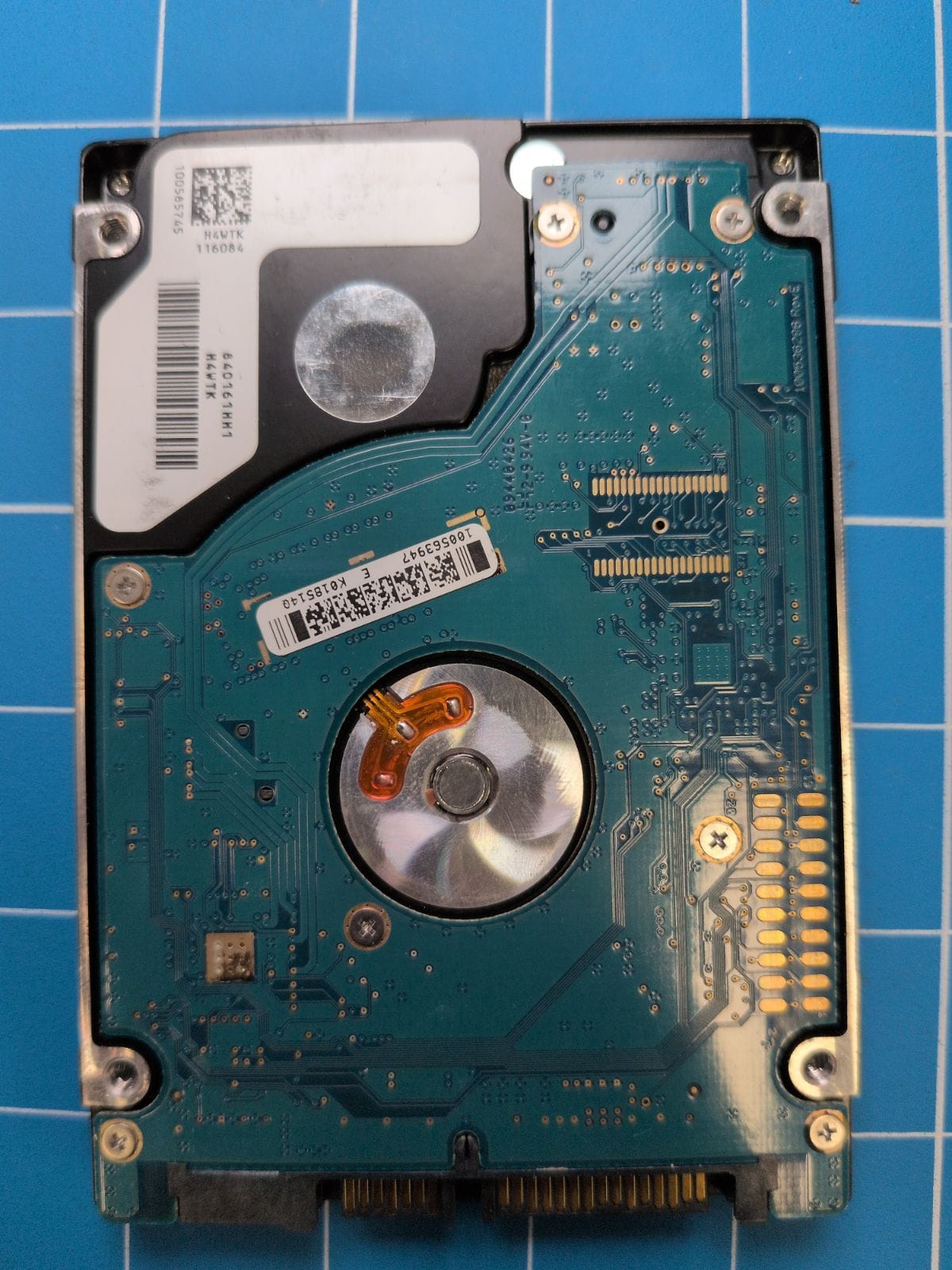 SG191 drive label (back)