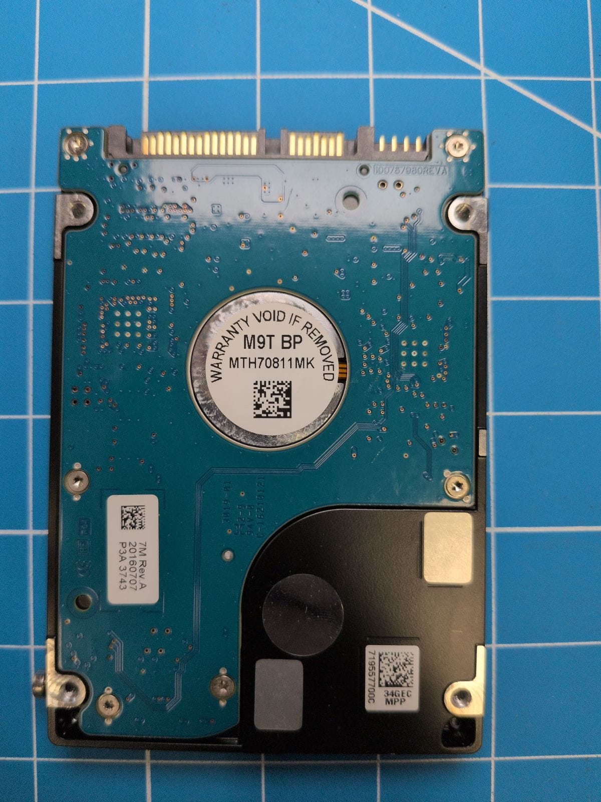 SG195 drive label (back)