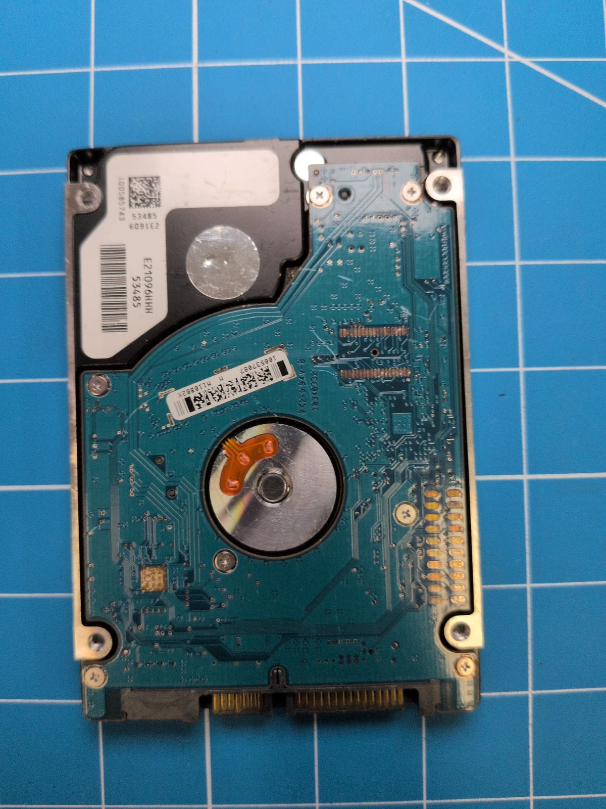 SG197 drive label (back)