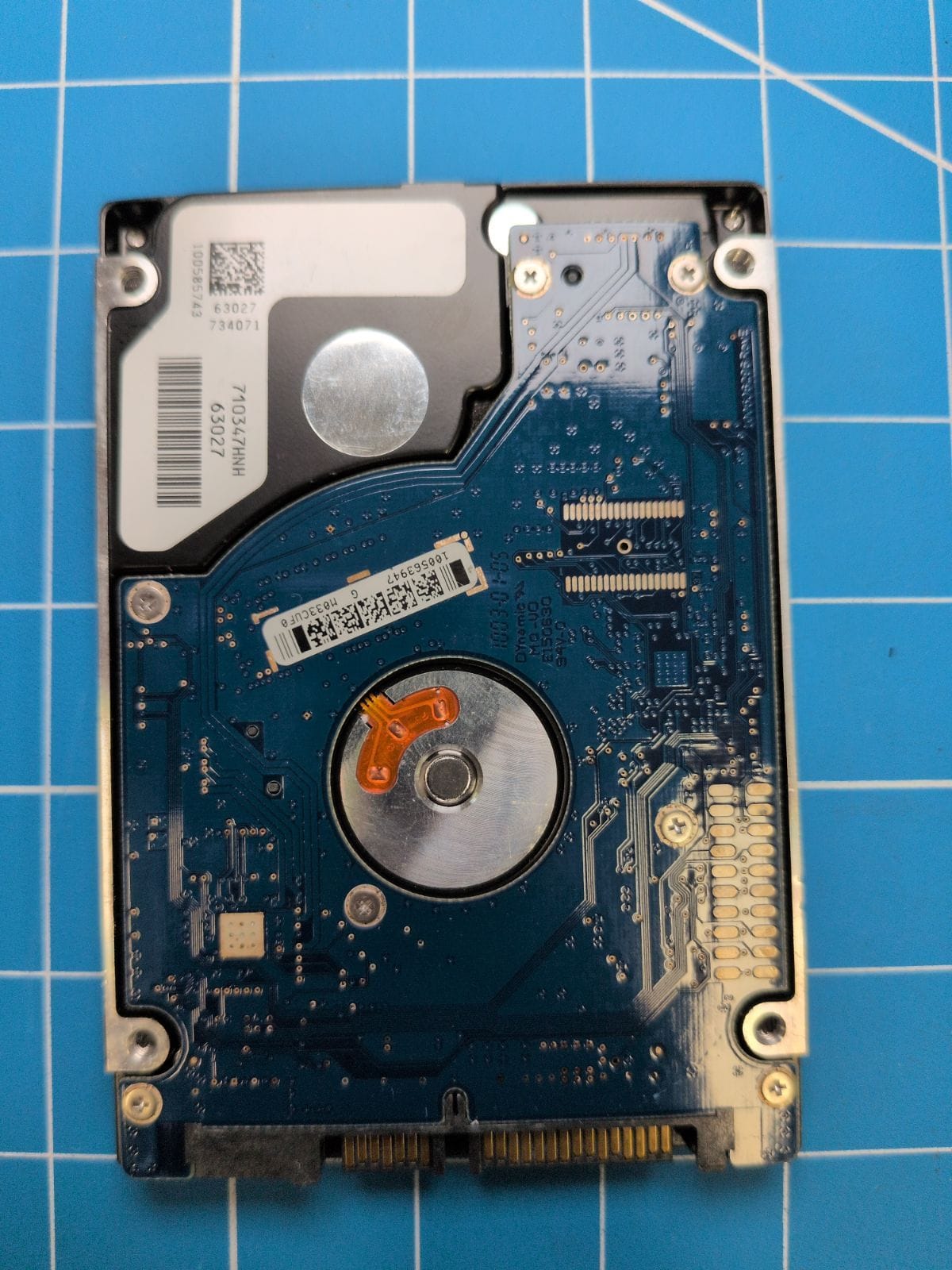 SG198 drive label (back)