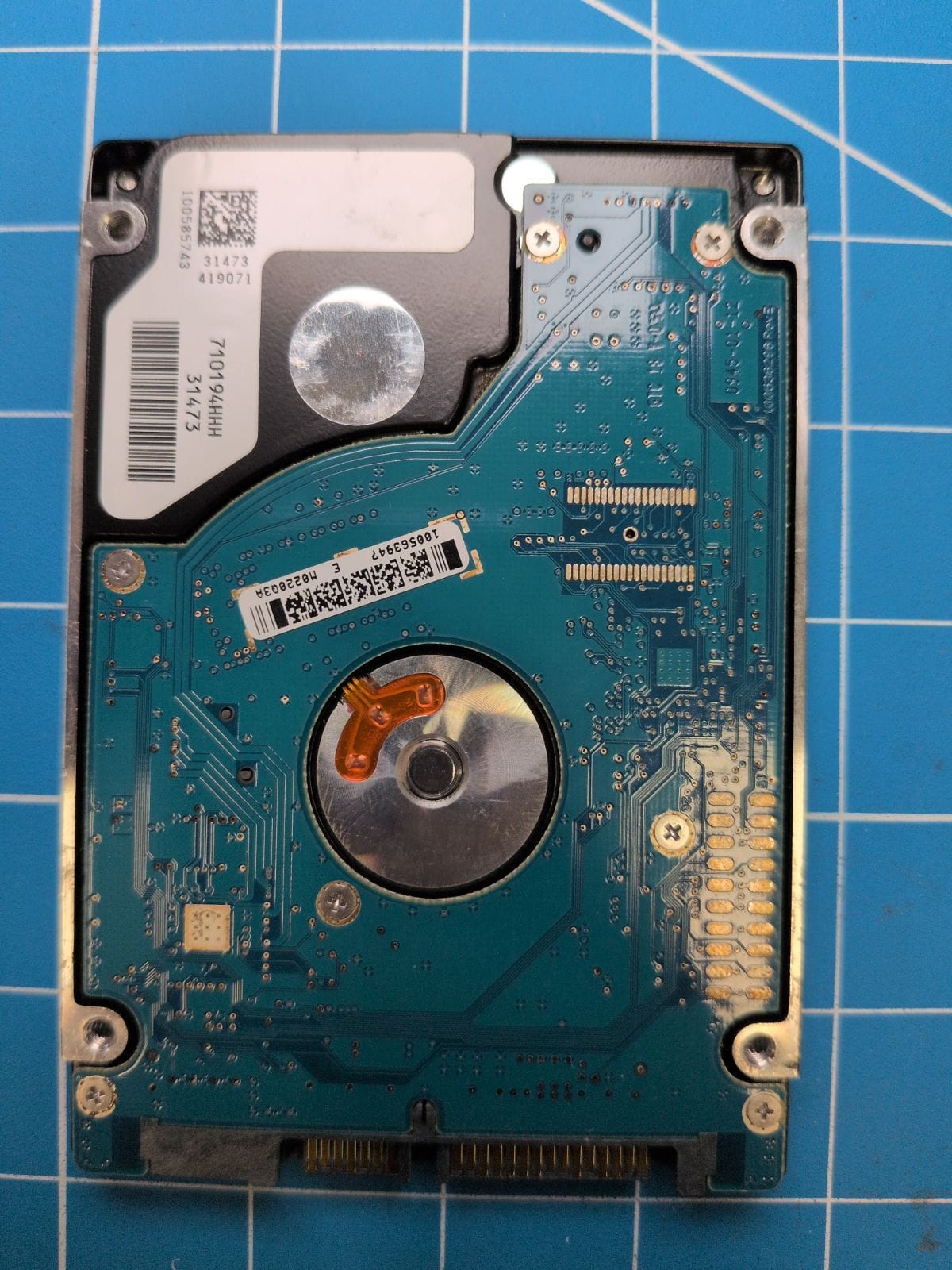 SG205 drive label (back)