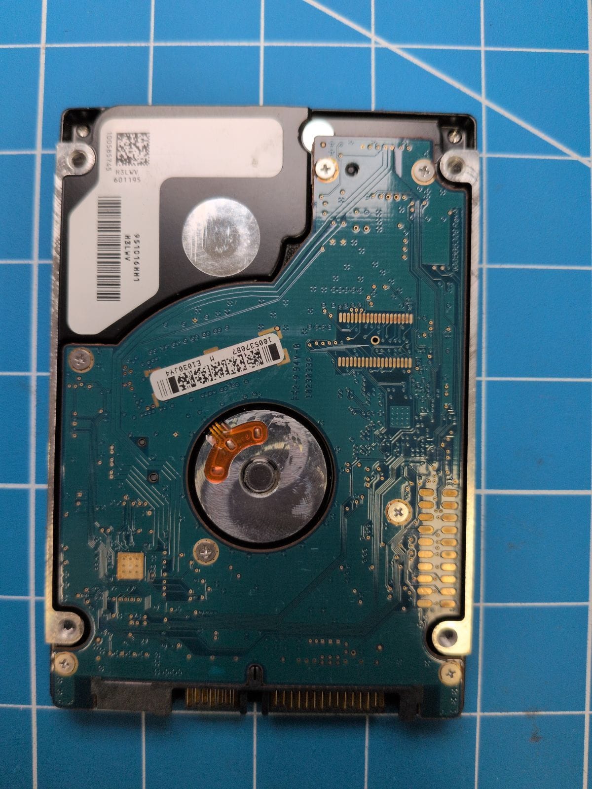 SG206 drive label (back)