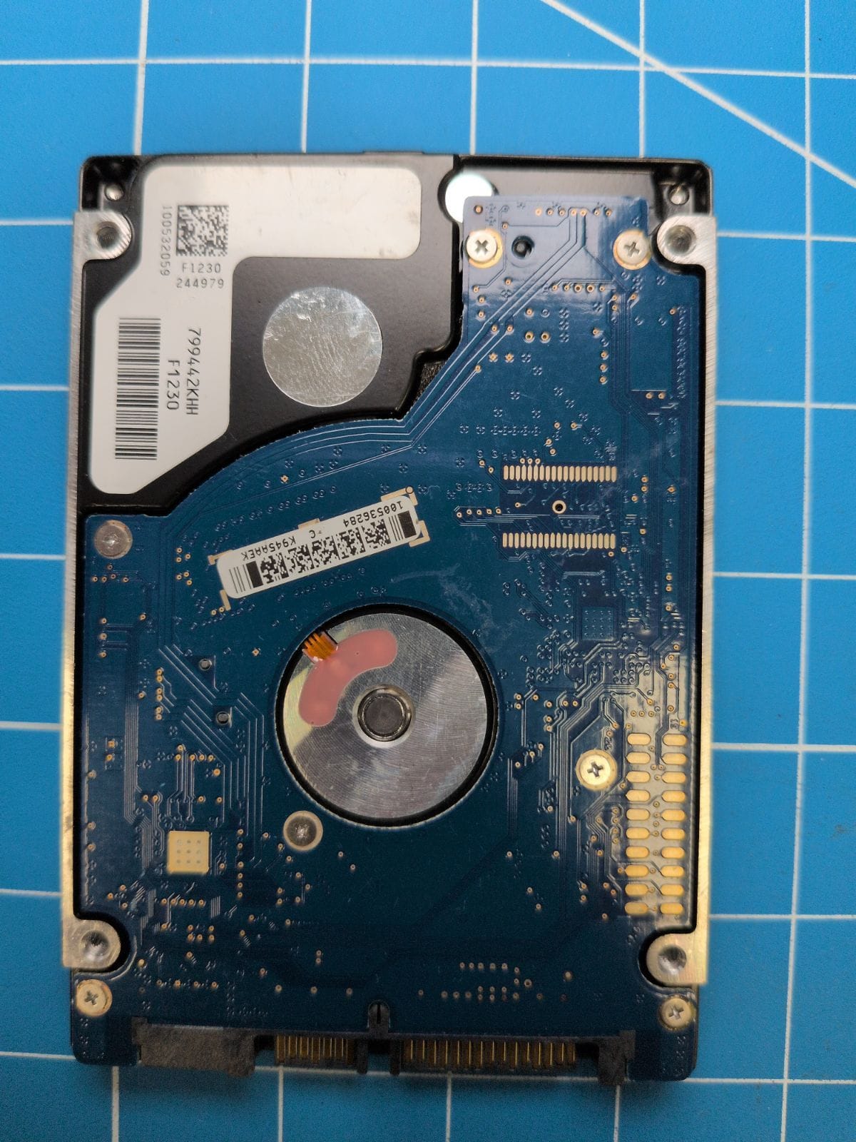 SG208 drive label (back)