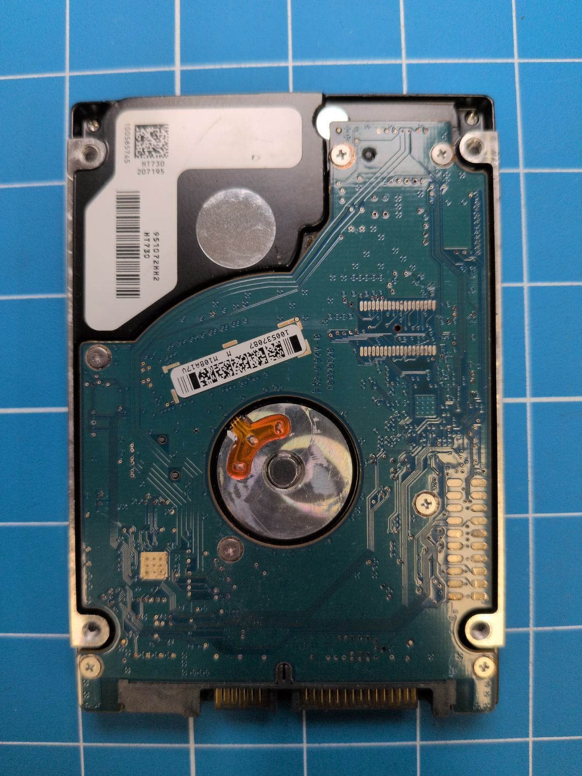 SG216 drive label (back)