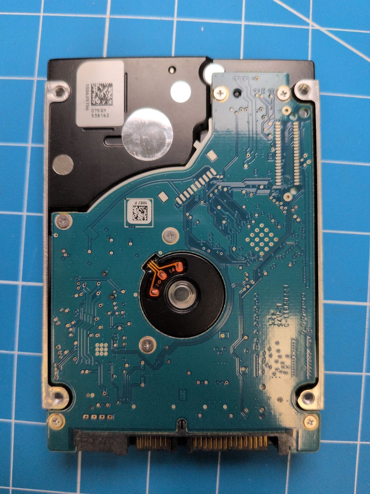 SG217 drive label (back)