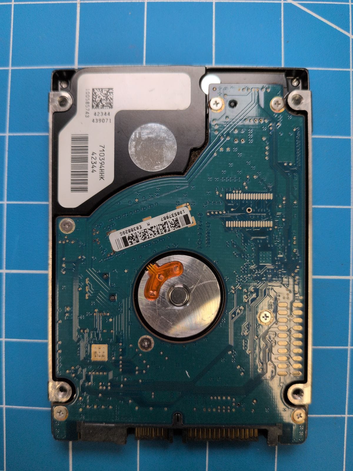 SG219 drive label (back)