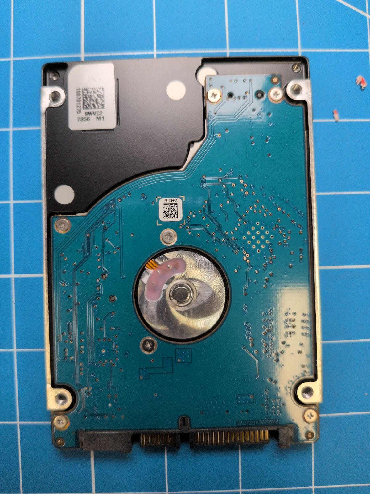SG221 drive label (back)