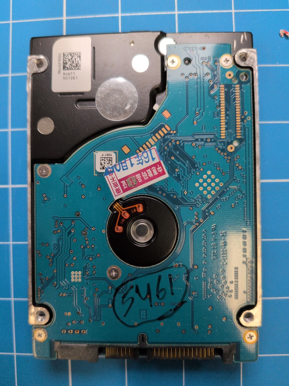 SG232 drive label (back)