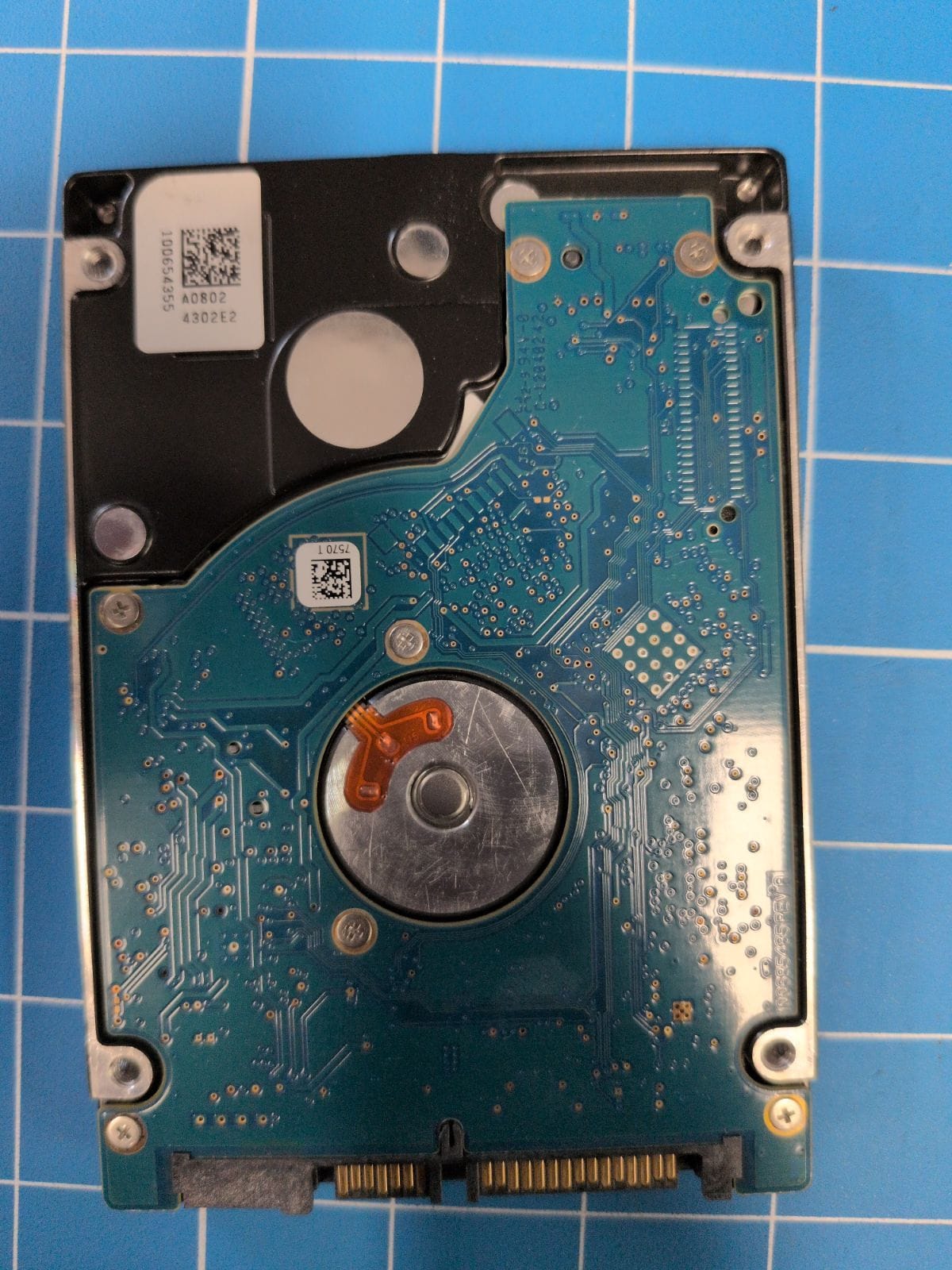 SG240 drive label (back)
