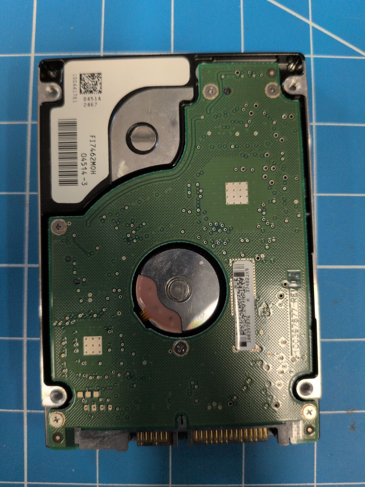 SG241 drive label (back)