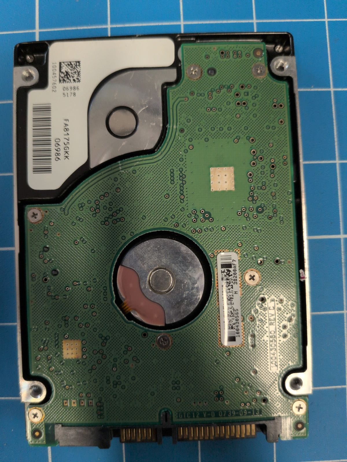 SG243 drive label (back)