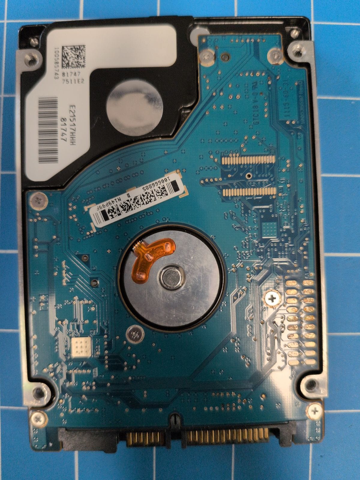 SG252 drive label (back)
