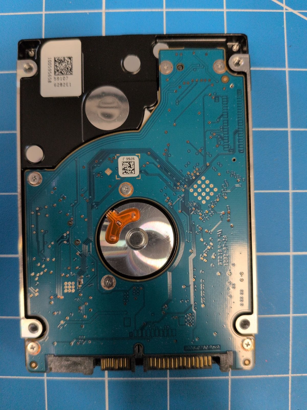 SG255 drive label (back)