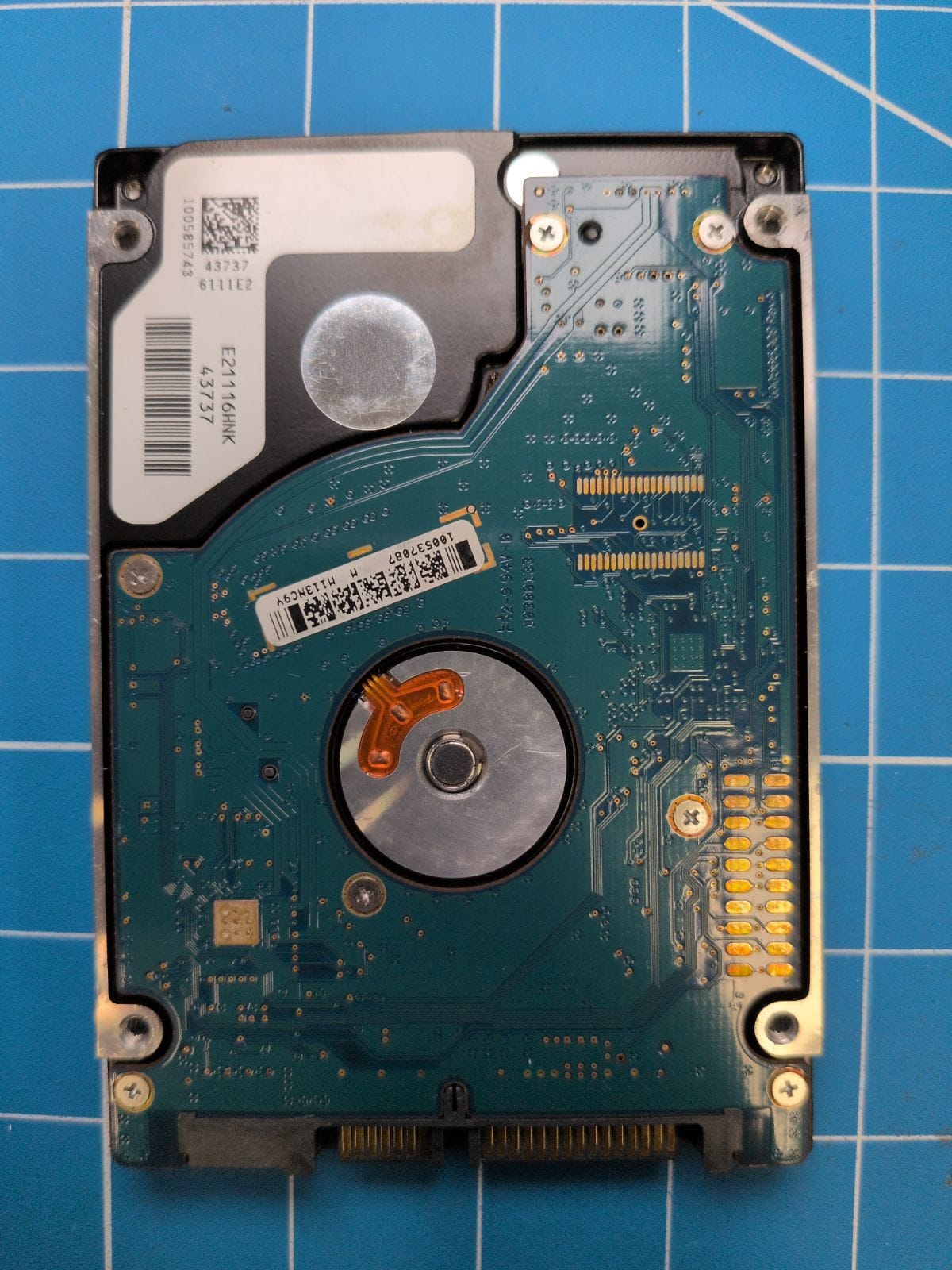 SG261 drive label (back)