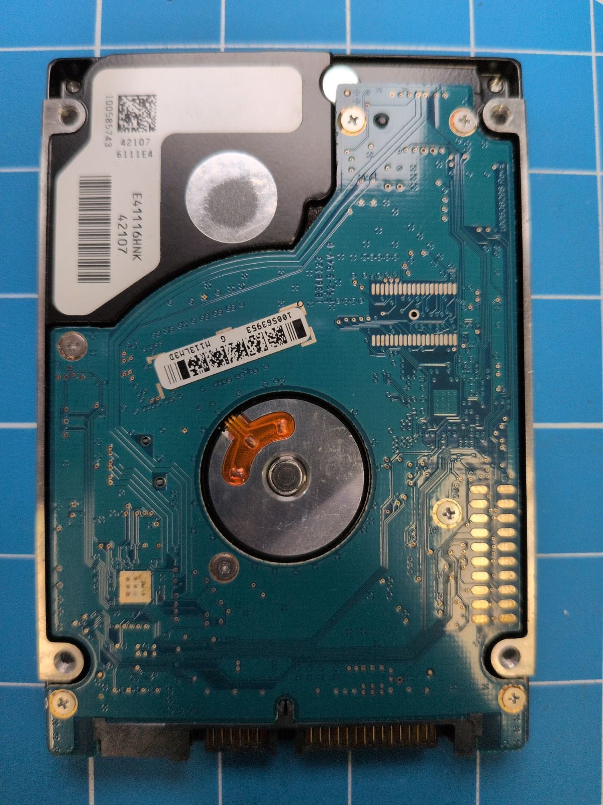 SG268 drive label (back)