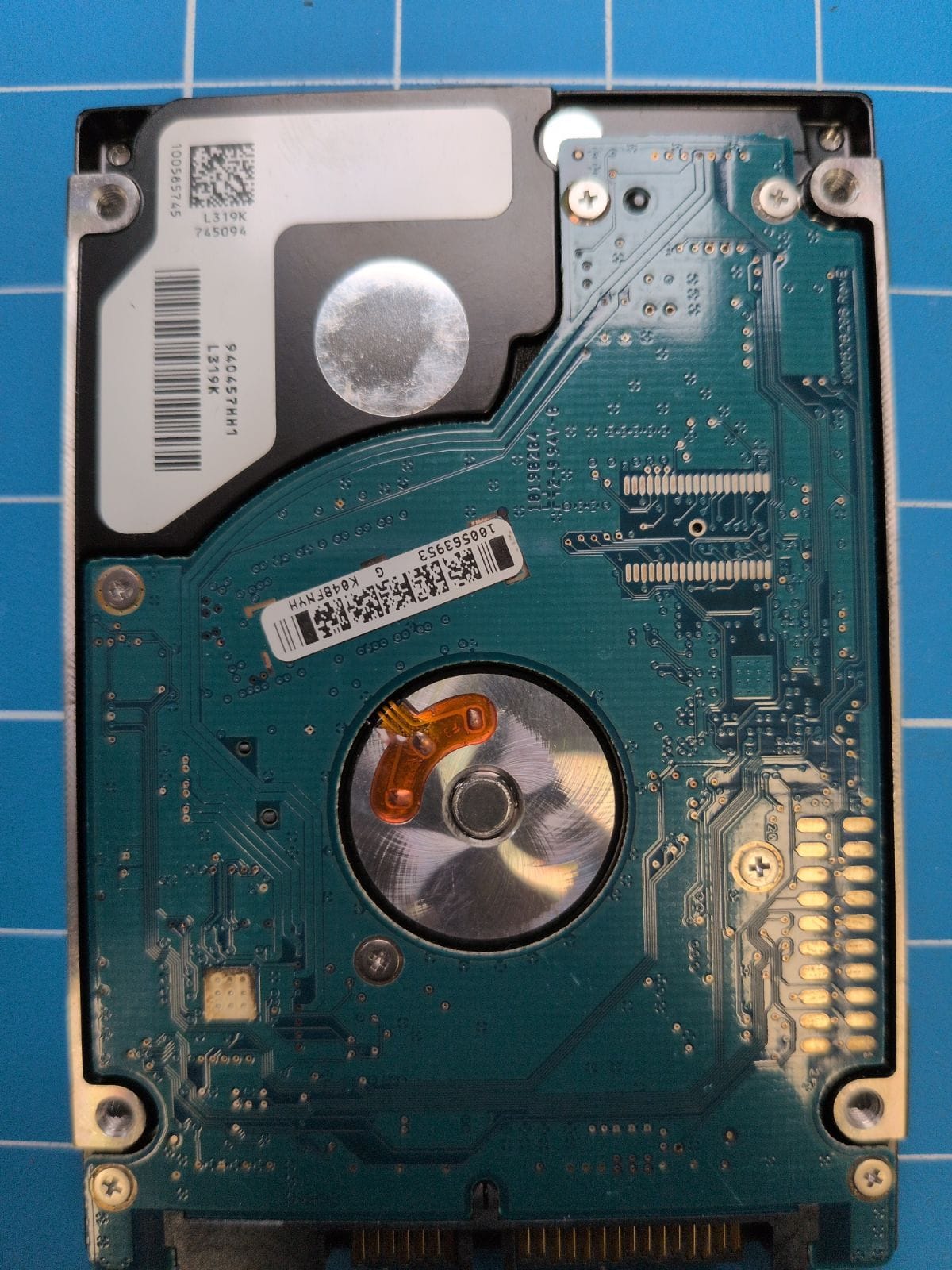 SG269 drive label (back)