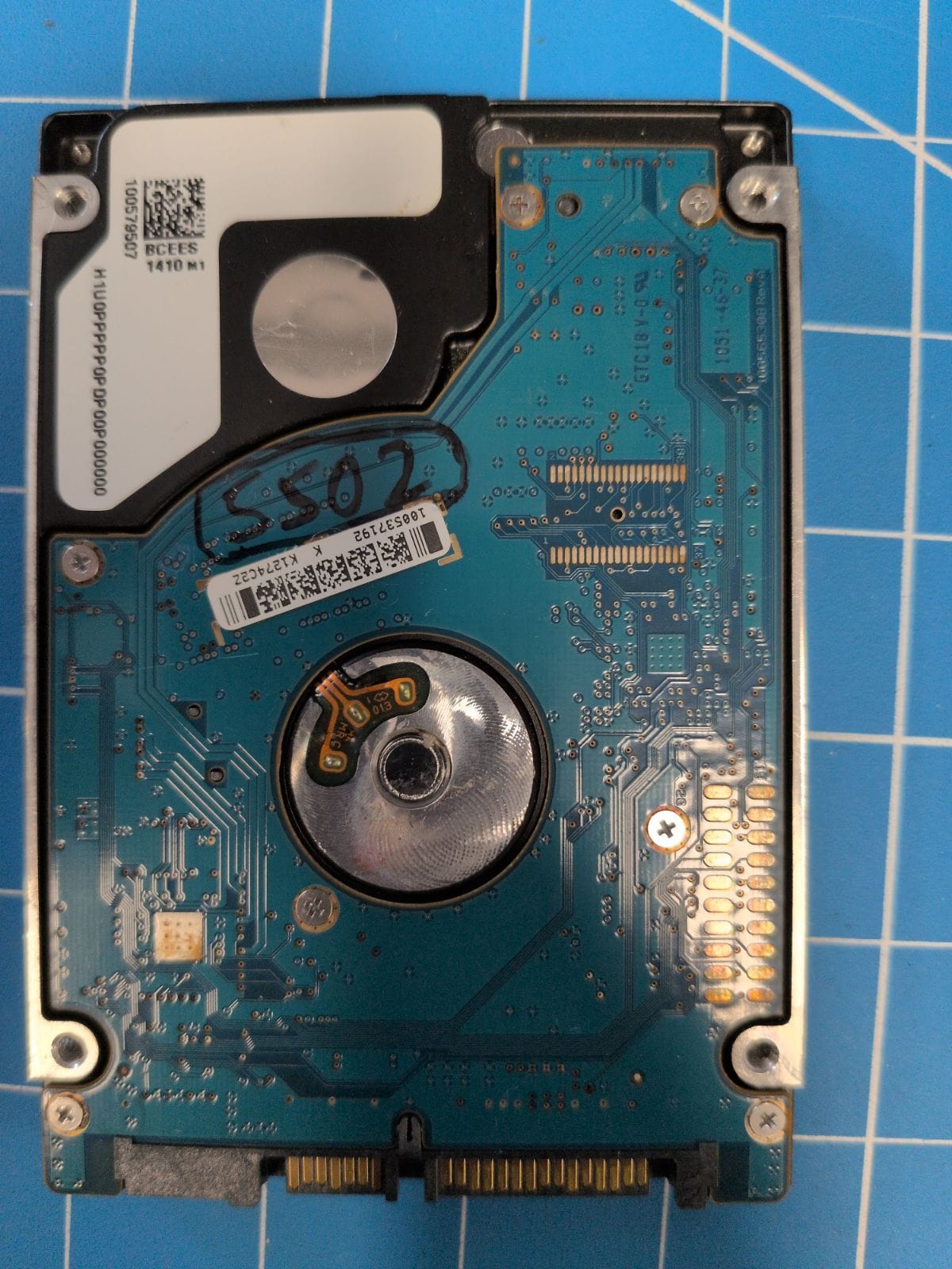 SG273 drive label (back)