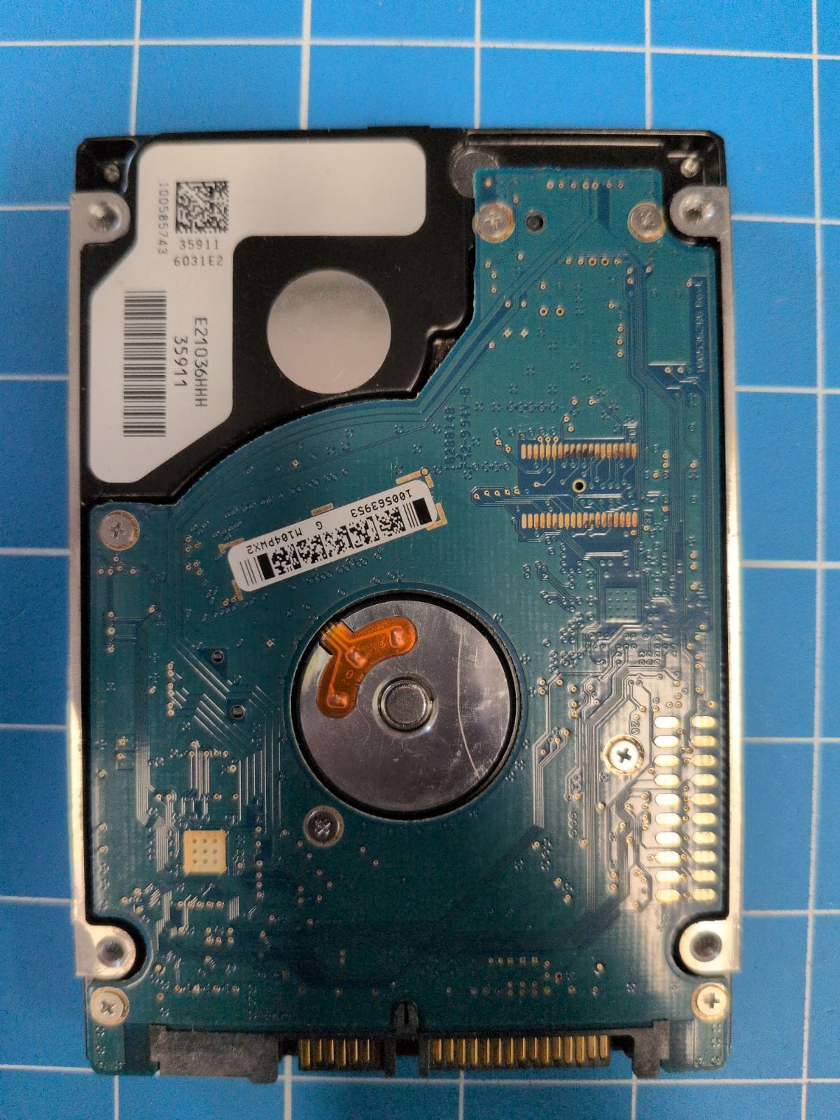 SG277 drive label (back)