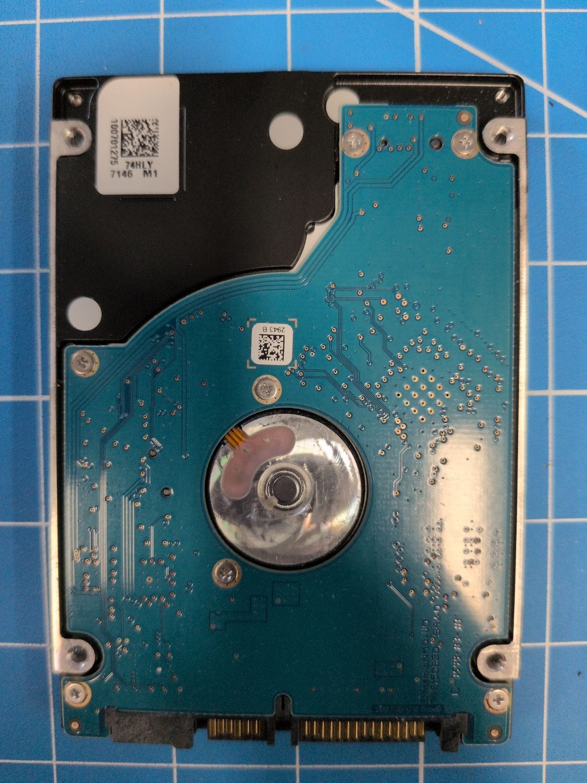 SG292 drive label (back)